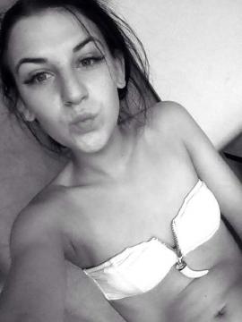 Cinarch aus Zuid-Holland,Niederlande